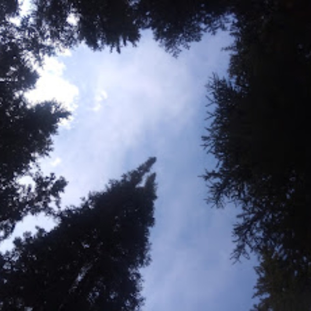 Meet your Posher, Creator-chan